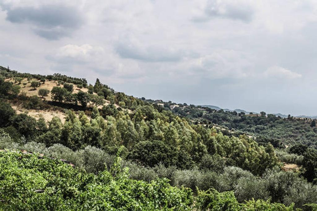 Agriturismo Miracco Atanasio Franco "Il Maniero" Santa Sofia d'Epiro Exterior foto
