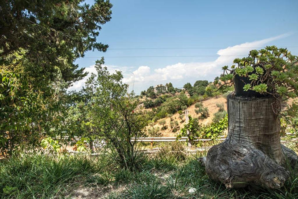 Agriturismo Miracco Atanasio Franco "Il Maniero" Santa Sofia d'Epiro Exterior foto